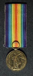 Thomas Noonan's Allied Victory Medal.