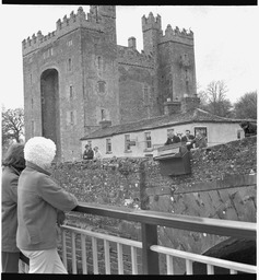 Rippen piano on water at Bunratty