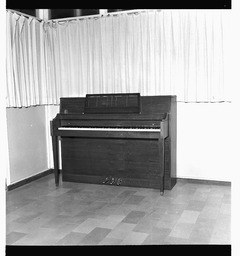 New Rippen piano