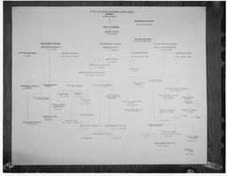 Shannon Free Airport Development Company (SFADCo) chart of employees positions