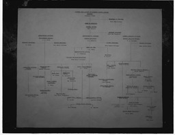 Shannon Free Airport Development Company (SFADCo) chart of employees positions