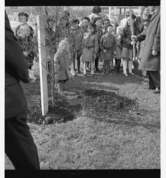 Trees for Ireland planting