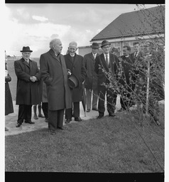 Trees for Ireland planting