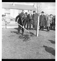 Trees for Ireland planting