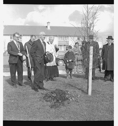 Trees for Ireland planting