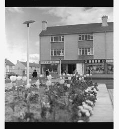 Flats & shops in Shannon town