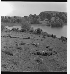 Lough Gur