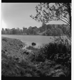 Lough Gur