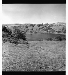 Lough Gur