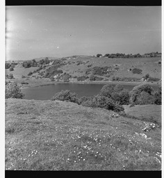 Lough Gur