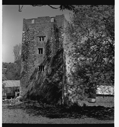 Lough Gur - Bourchier's Castle