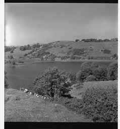 Lough Gur