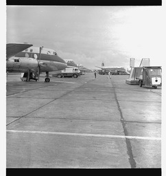 Aer Lingus planes on ramp