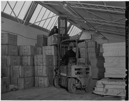 Lep Shipping Company - Forklift)