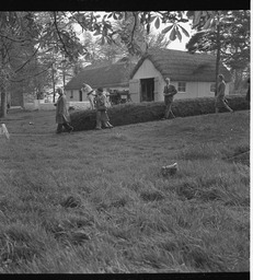 Bunratty folk village (1)