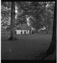 Bunratty folk village (2)