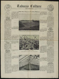 Issue of Tobacco Culture