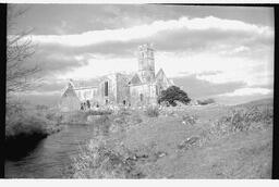 Quin Abbey (4)