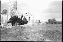 Quin Abbey (8)