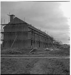 New houses at Shannon (7)