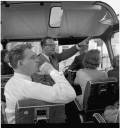 Free day tours