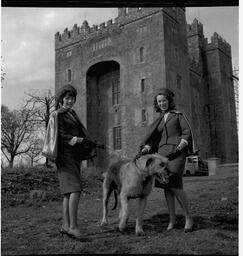 Tour guides with wolfhound at Bunratty Irish cottage