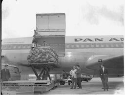 Gardimex loading freight onto Pan American Airlines (PAA)
