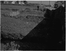 Tidy towns (4)
