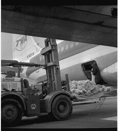 Trans World Airlines (TWA) exporting lamb (1)