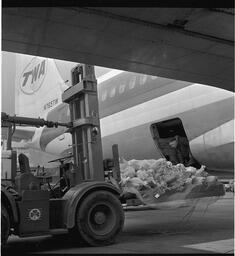 Trans World Airlines (TWA) exporting lamb (2)