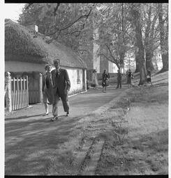 Bunratty folk village (2)