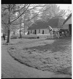 Bunratty folk village (4)