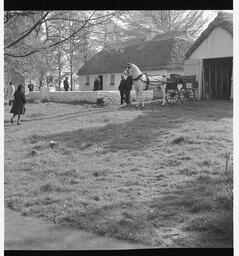 Bunratty folk village (5)