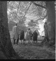 Bunratty folk village (2)