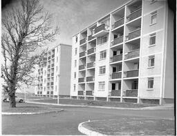 Flats and houses on Drumgeely Hill (2)