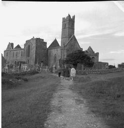 Free day tour - Quin Abbey (3)