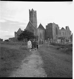 Free day tour - Quin Abbey (8)