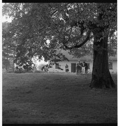 Tullyglass school children at Bunratty Folk Park (3)