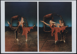 Colour photographs, Fiona Quilligan and Zelda Francesca, Signals, 1996