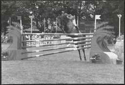 Showjumping fence designed by UL students for Kerrygold Dublin Horse Show