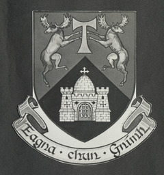 University of Limerick coat of arms