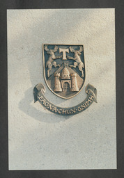 University of Limerick coat of arms