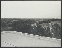 View of the Sports Building from roof of Main Building