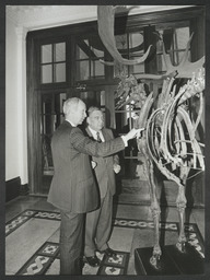 Dr Ed Walsh and the Russian Ambassador Nikolai Ivanovich examine the skeleton of an Irish elk donated by the Earl and Countess of Dunraven