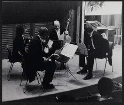 Panocha String Quartet