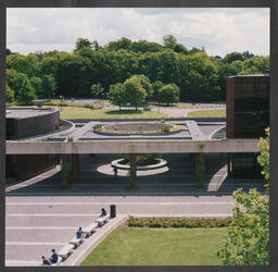 Elevated views of the canopy connecting the Glucksman Building and Main Building