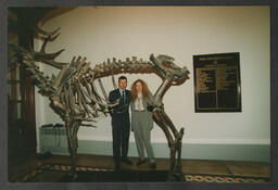 Skeleton of an Irish elk in the University Club [?]