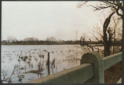 Foundation Building interiors, UL Buildings, the river, damaged car