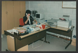 Staff working at desk