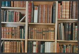 A Book Collection in the Glucksman Library at the University of Limerick